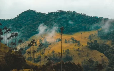 Colombia